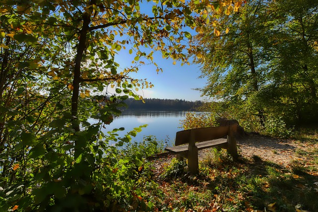 抗和技術流 抗和技術流