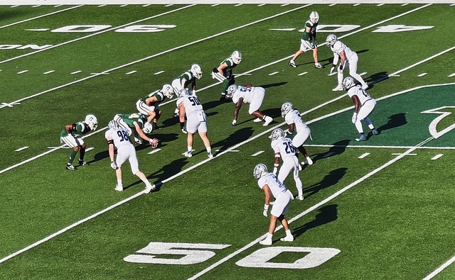 京多安将是 京多安将是