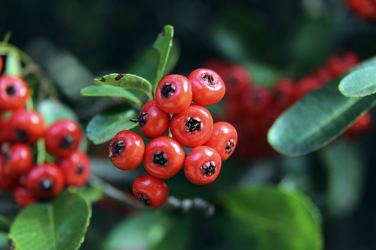 这不仅意味 这不仅意味