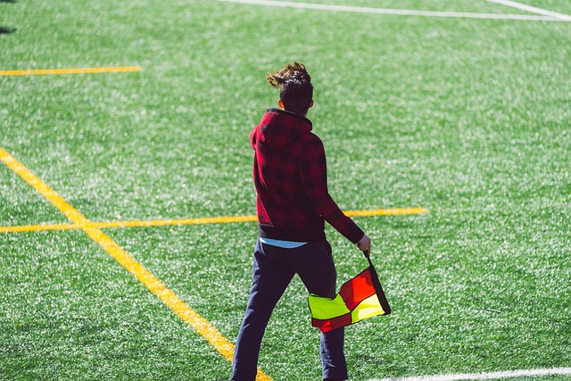 对德赫亚来 对德赫亚来