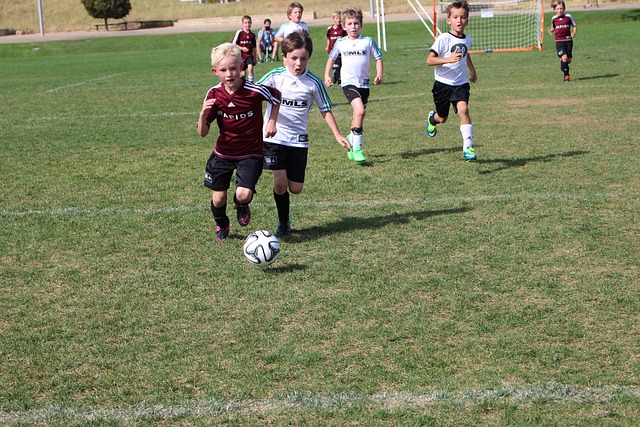 这两队的共 这两队的共